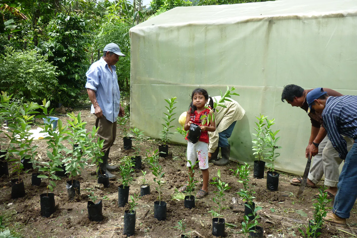 Achieving Food Sovereignty for Mayan Farmers through Agroecology